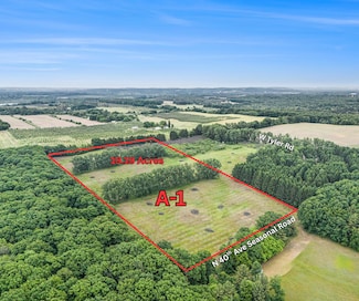 19.19 A N 40th Ave, Golden Township, MI 49436