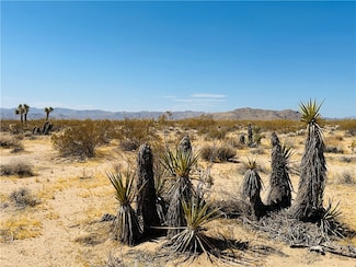 5 Sunset Rd, Joshua Tree, CA 92252
