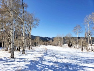 0 Petito Dr Unit 23666464, Fort Garland, CO 81133
