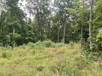 146 Quail Ridge Rd, Summertown, TN 38483