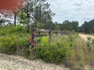 Fox Young Rd, Wagener, SC 29164