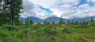 NNA Bootlegger Lane - Stein Mountain, Bonners Ferry, ID 83805