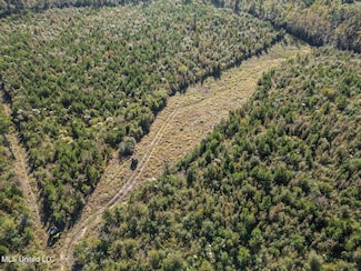 4058 Mcclain Rd, Liberty, MS 39645