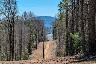 7.07A Eastridge Ct, Blairsville, GA 30512