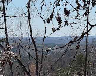 0 Goforth Rd, Landrum, SC 29356