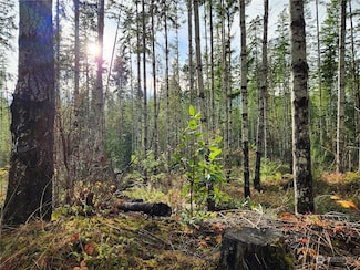 0 Rocky Brook Rd Unit Lot I NWM2304047, Brinnon, WA 98320