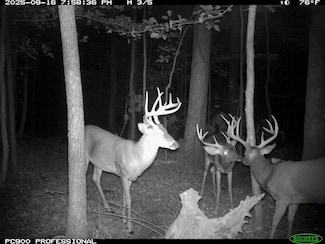 Tbd Hwy 16 Unit LotWP003, Saint Paul, AR 72760