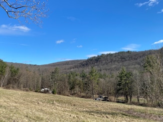 198-4 Beebe Hill Rd, Canaan, CT 06031
