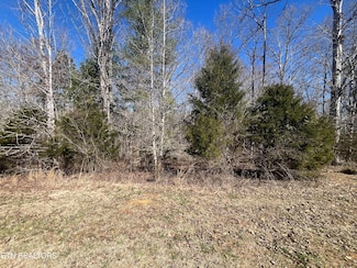 209 Appaloosa Tr, Rockwood, TN 37854