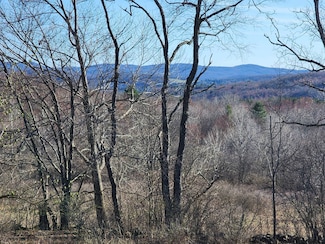 L1 Lang Rd Unit Lot 1, Summit, NY 12175