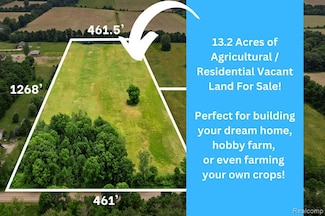 V/L Hough Rd. Hough Rd, Almont, MI 48003