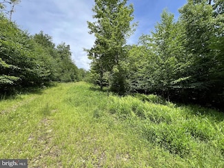 0 Tuscan Ridge Rd Unit WVTU2000142, Davis, WV 26260