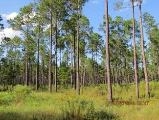 340 Bells Ferry Rd, Lumber City, GA 31549