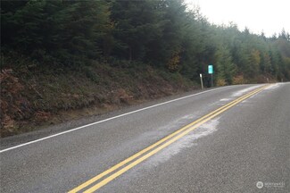 0 M.P. 10 Wynoochee Valley Rd, Montesano, WA 98563