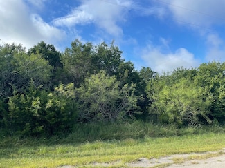 12028 Shady Creek & Trailwood Dr Dr, Whitney, TX 76692