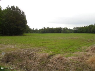 0 Anderson Rd, Watha, NC 28478