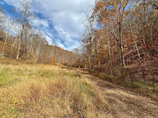 2257 Grannies Creek Rd, Ovapa, WV 25164
