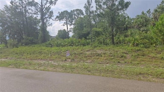 733 Palmer St, Lehigh Acres, FL 33974