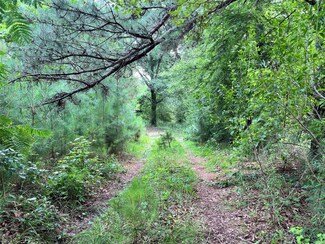 4825 W Hickory Grove Rd, Letohatchee, AL 36047