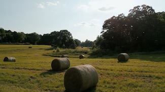 397 Aubrey Fergerson Rd, Gadsden, TN 38337