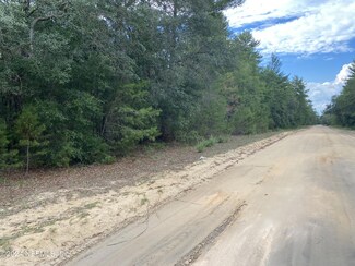 LOT 20 Brett Ave, Interlachen, FL 32148
