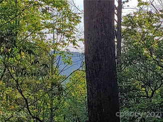 TBD Big Ivy Rd Unit 4, Purlear, NC 28665