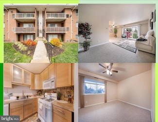 105 Fitz Ct Unit 202, Reisterstown, MD 21136