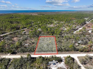 0 Fiddlers Way Unit 380684, Perry, FL 32348
