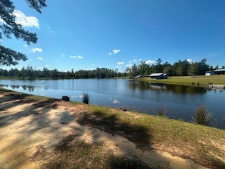 1000 Millen Hiltonia Rd, Hiltonia, GA 30467