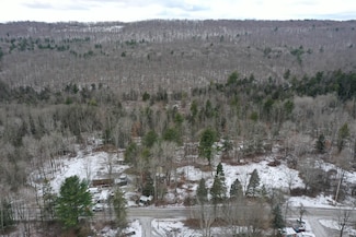 0 Steam Mill Rd, Hector, NY 14869