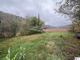 3514 Montgomery Mill Rd, Greensburg, KY 42743