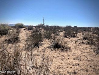 260 Spirit Hill Dr, Anthony, NM 88021