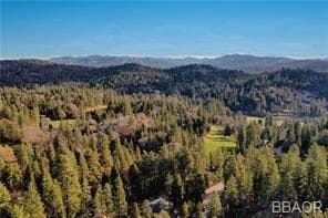 131 Fairway Dr, Lake Arrowhead, CA 92352