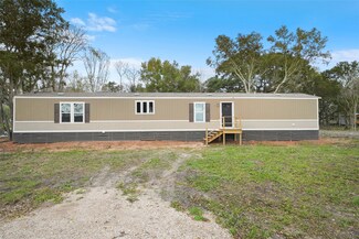 171 Country Oaks St Unit Lot 19, Brazoria, TX 77422