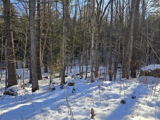 55 Lakeview Heights, Alexandria, NH 03222