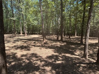 000 Cr 42560, Paris, TX 75462