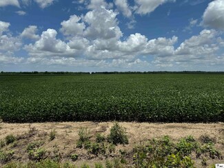 0000 Louisiana 588, Pioneer, LA 71266