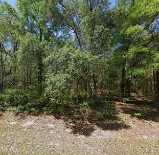 8276 N Orton Way, Citrus Springs, FL 34434