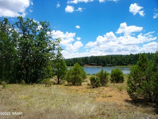 2650 S White Mountain Rd, Show Low, AZ 85929