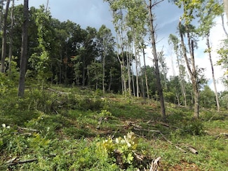 TBD Old Danville Pike, Laurel Fork, VA 24352