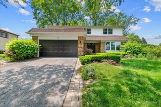 506 S Brighton Ln, Palatine, IL 60067