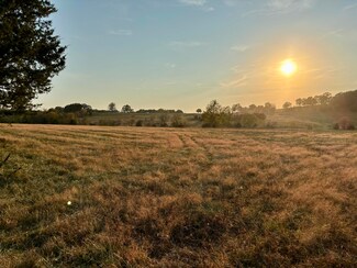 Tbd Sparkle Brook Rd, Conway, MO 65632