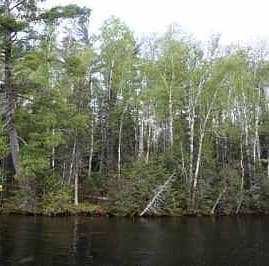 5829 Pine Island N, Tower, MN 55790