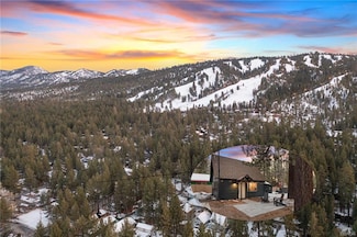 580 Thrush Dr, Big Bear Lake, CA 92315