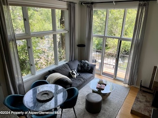 1050 Waters Ave Unit 9, Aspen, CO 81611