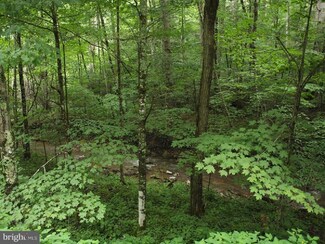 0 Hunting Ground Unit 1005912829, Circleville, WV 26804