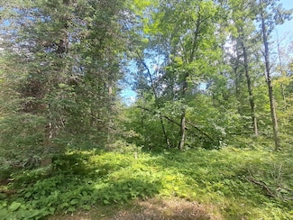 XXX White Tail Dr, Danbury, WI 54830
