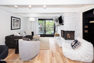 901 E Hyman Ave Unit 4, Aspen, CO 81611