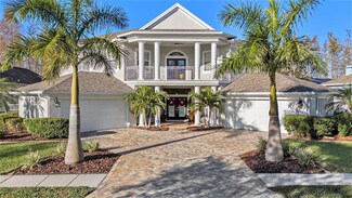 19122 Harborbridge Ln, Lutz, FL 33558