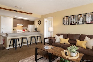 247 Lake Dr Unit 3103, Granby, CO 80446
